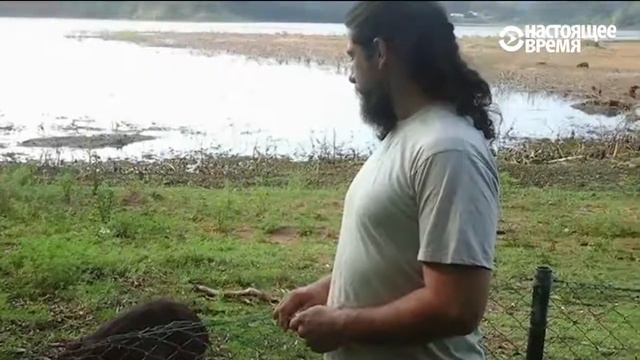 Бразилец, который воевал в Донбассе смотреть онлайн