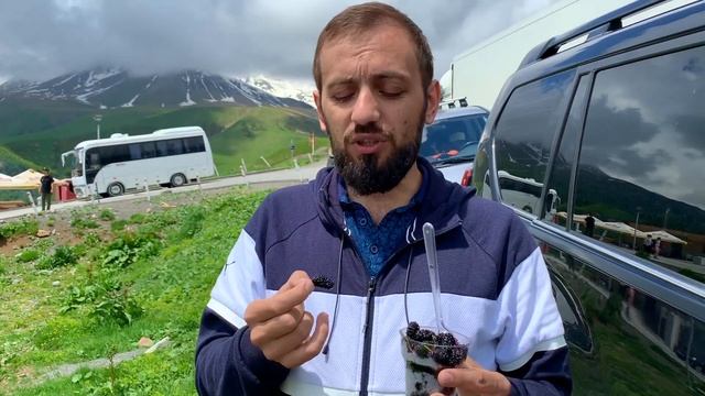 #5 СЕМЕЙНОЕ ПУТЕШЕСТВИЕ НА МАШИНЕ С ДЕТЬМИ 2019 / РОССИЯ ,ГРУЗИЯ,АРМЕНИЯ /Toyota Land Cruiser Prado смотреть онлайн