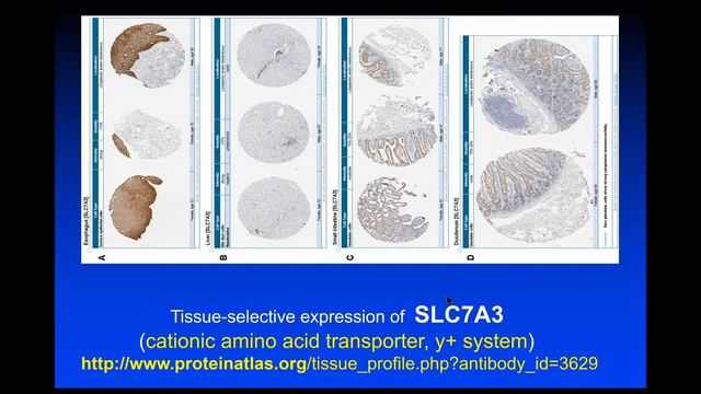 How Drugs Really Get Into Cells | Prof Douglas Kell CBE (Uni Liverpool) | SCI FCG/YCP Webinar смотреть онлайн
