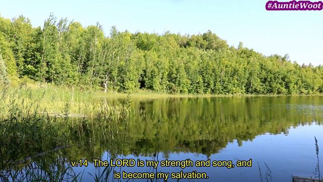 Psalms 117 & 118 King James Version KJV KJB Audiobook with Captions Read Along ESL смотреть онлайн