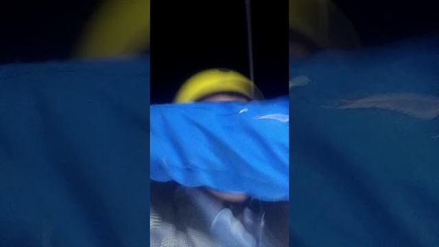 Анхор Локомотив