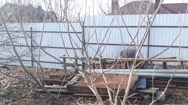 Исправление формировки грецкого ореха. смотреть онлайн