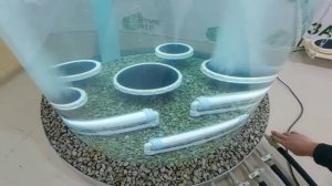 Аквариум на 2500 литров своими руками. Компрессор для септика и аэраторы для очистных сооружений.