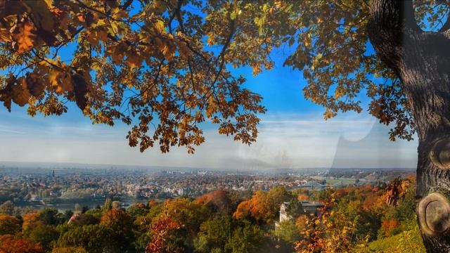 ТОПОЛЬ  ТЫ   МОЙ   ОПАВШИЙ    АВФ