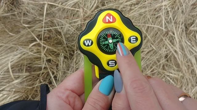 Грибные магнетики