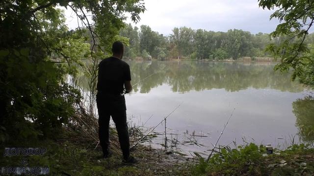 Рыболовные ПРИКЛЮЧЕНИЯ на ОСТРОВЕ поймали ЧЕРЕПАХУ на удочку. смотреть онлайн
