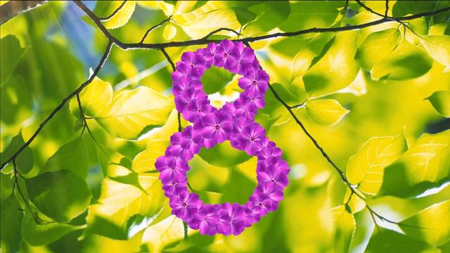 Футаж к 8 марта Футажи HD Видео для плэйкастов смотреть онлайн