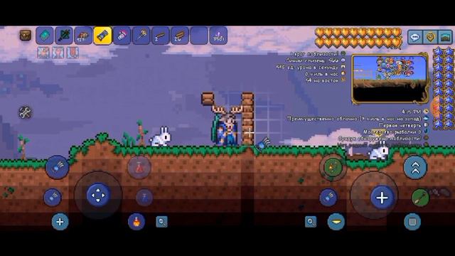 баг на дюп монет и кристаллов в террарии | Баг в террарии