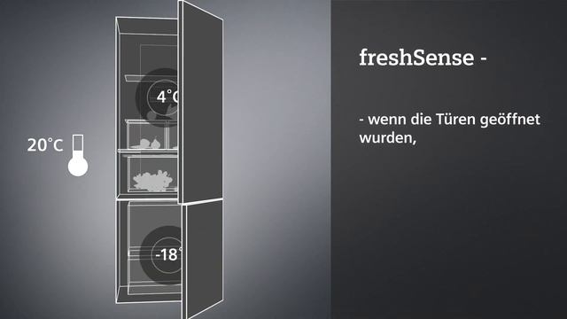 Siemens FreshSense DE
