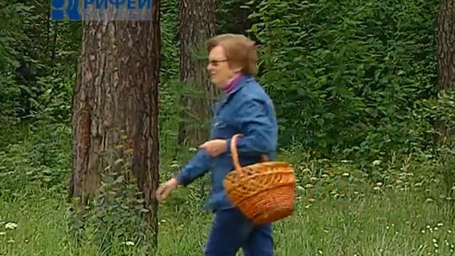 Сюжет Грибы смотреть онлайн