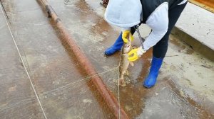 РЫБАЛКА СУРГУТ//ЛОВЛЯ ЩУКИ НА ПАУК//РЫБАЛКА НА ЮГАНСКОЙ ОБИ//КРУПНАЯ ЩУКА НА ПОДЪЕМНИК