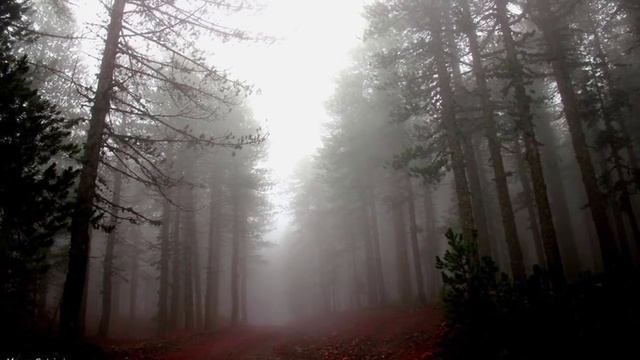 TROODOS GEOPARK смотреть онлайн