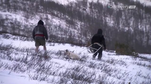 Выжить вдвоем Двойное Выживание HD смотреть онлайн