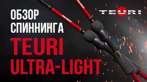 Обзор спиннинга Akara Teuri ULS