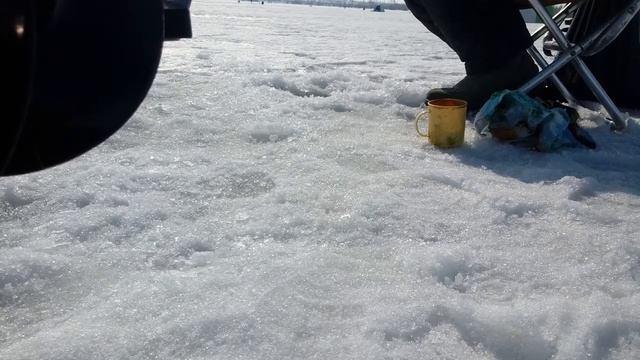 Оз. Кичигино 23.03.2019 супер клёв смотреть онлайн