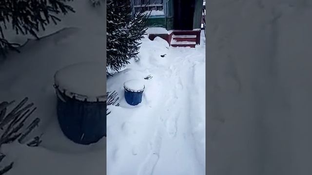 Алтай__Тёплый зимний день__А мысли где то на Югах смотреть онлайн