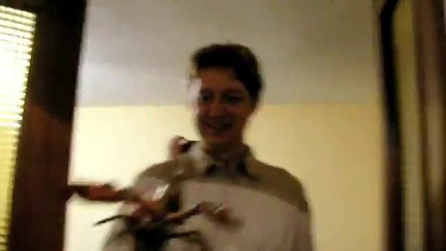 Fighting and cooking a langust смотреть онлайн
