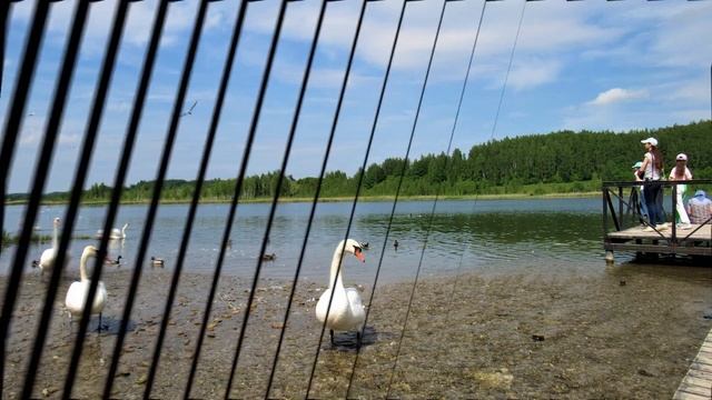 Фотопейзажи Псковской области(июнь 2022) смотреть онлайн