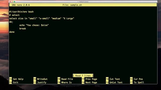 read syntax and select syntax for user input (bash scripting) смотреть онлайн