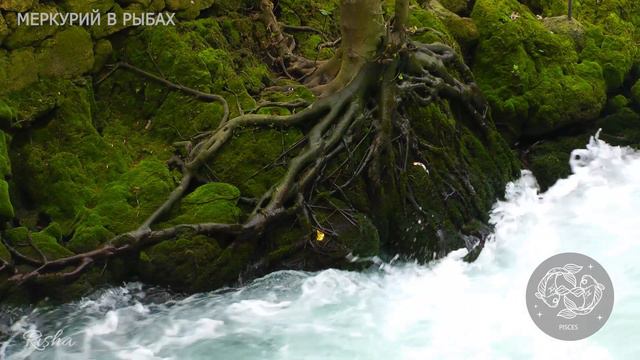 Меркурий в Рыбах/Ведическая Астрология/Человек принимающий необдуманные решения и страдающий от них смотреть онлайн