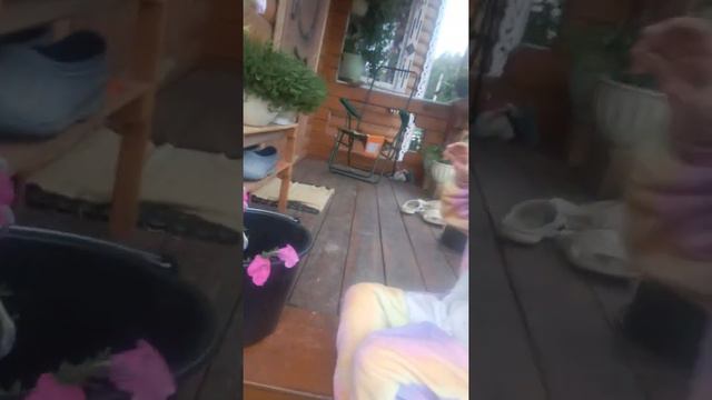 Это что такое было смотреть онлайн