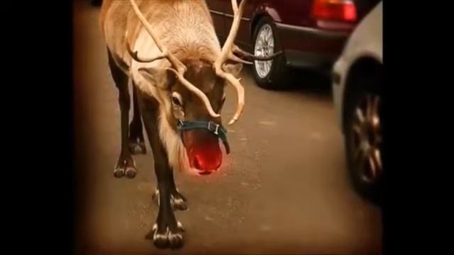Rudolph the Red Nosed Reindeer (rehearsal - performed by Megan Burton) смотреть онлайн