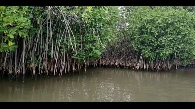 Must Visit Places In Puducherry (Pondicherry)