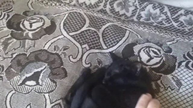 Карантин на Джугджуре 2( артель старателей ДРАЖНИК) смотреть онлайн