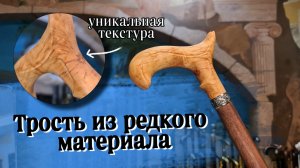 Стильная удобная трость из дерева | Княжна карельская берёза