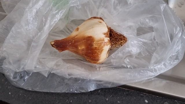 Здоровое Питание Французской Семьи. Наша Продуктовая Корзина. Любимые ПП Продукты и Бады от Вирусов смотреть онлайн
