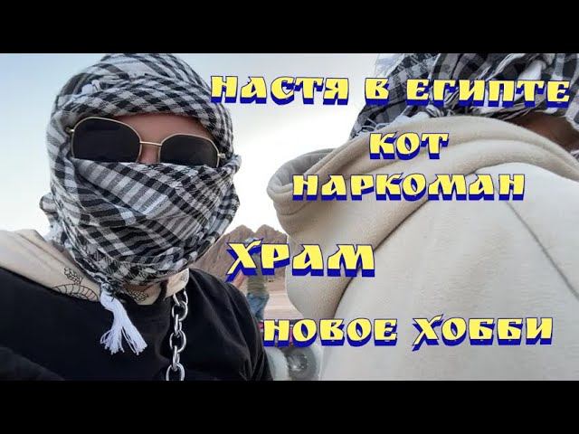 Египет 2022 / Покупки / Храм вознесения Господня в сокольниках / Магазин фиалок / Шарм-эль-шейх 2022 смотреть онлайн