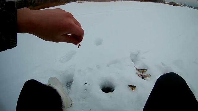 Раздача окуня на яркую мормышку! Косим окунька. смотреть онлайн