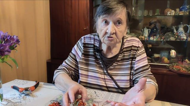 Облепиха. В сибирских садах во времена СССР облепиху собирали просто. смотреть онлайн