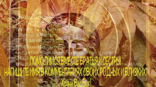 ?СЕГОДНЯ † МОМЕНТАЛЬНО ДЕЛА ПОЙДУТ В ГОРУ ! ОЧЕНЬ СИЛЬНАЯ МОЛИТВА НА УДАЧУ? смотреть онлайн