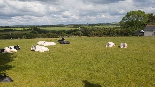 Медитация смотреть онлайн