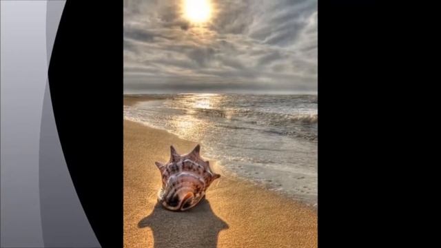 Буктрейлер 