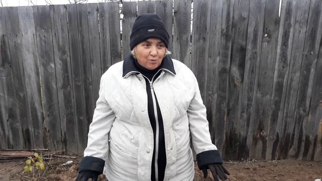 Спасаем кусты малины. Садим-сеем. Мой опыт. смотреть онлайн