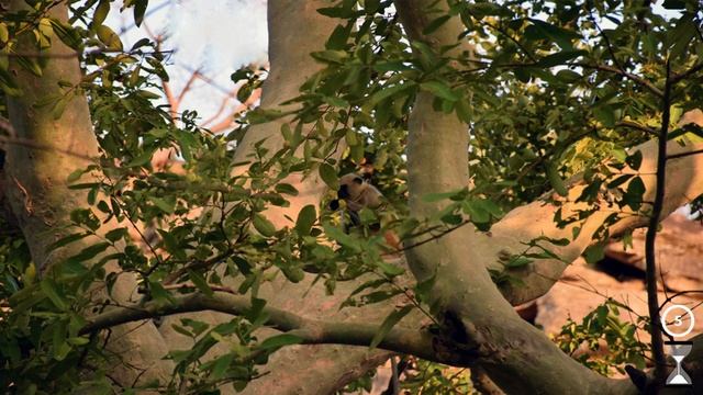 Find the Hidden Animal Quiz # 3 смотреть онлайн