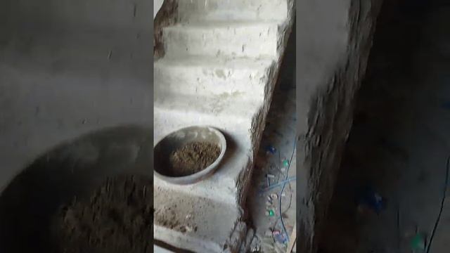 #stairs #fiters #amazing #new #newvideo #start#marble #stairsworkout смотреть онлайн