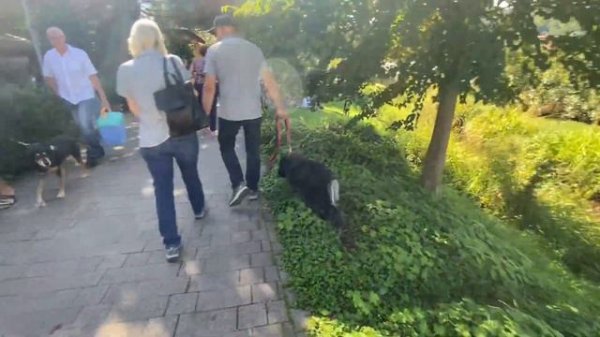 Маленькие города-курорты в Германии.