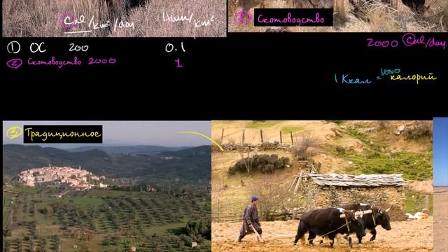 Плодородие почвы ограничивает численность населения (видео 10)| Жизнь на Земле и во Вселенной смотреть онлайн