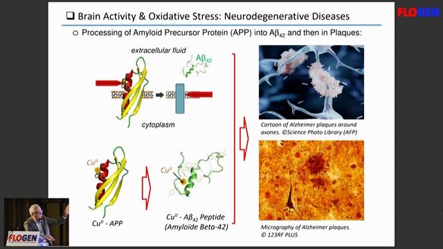 Prof. Christian Andre Amatore @ FLOGEN SIPS 2022 Yoshikawa Intl. Symposium on Oxidative Stress #1 смотреть онлайн
