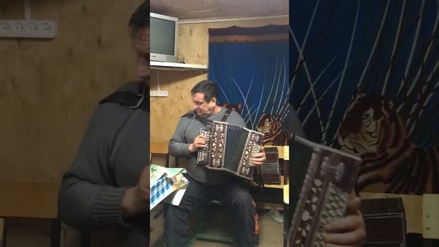 В гостях у гармониста Анатолий Святов. Песня - Я ж не хочу, чтоб ты плакала. смотреть онлайн