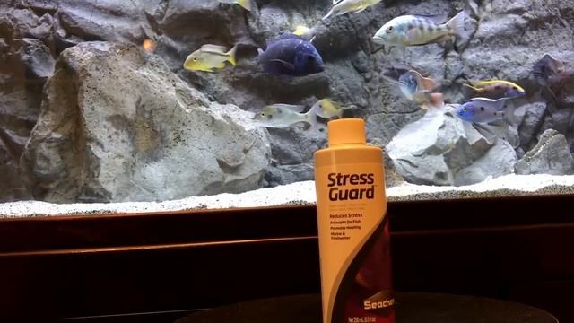 Seachem Stress Guard