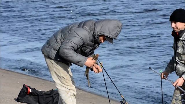 Рыбалка на фидер в Чебоксарах.Казанская набережная.Чебоксарская бетонка. смотреть онлайн