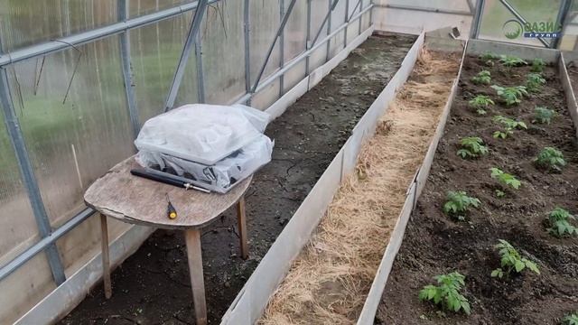 Ландшафтный дизайн дачного участка. Комплексное благоустройство и озеленение территории. смотреть онлайн