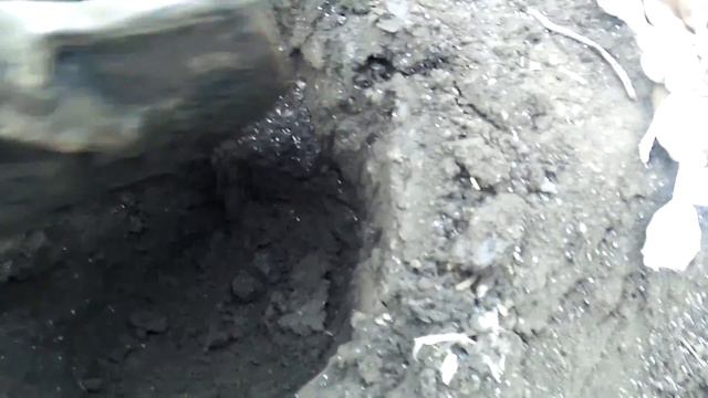 "Посадка"! - "Planting" - 2017 смотреть онлайн