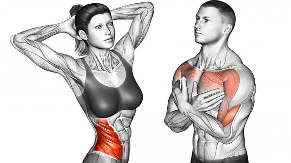 Делайте это в течение 7 минут каждый день после пробуждения