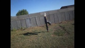 Отпугиватель птиц своими руками.  Утят ворует сорока