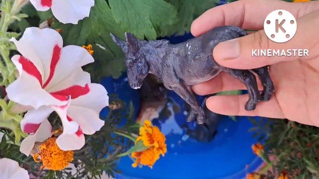 Учим животных на английском языке/ собака/ корова/ слон/ осел/ баран/ зебра/